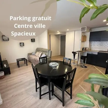 Le Douillet - Parking Gratuit - Centre Ville Pau Buitenkant foto