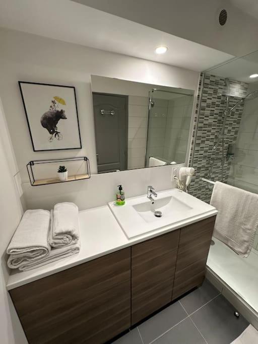 Apartment Le Douillet - Parking Gratuit - Centre